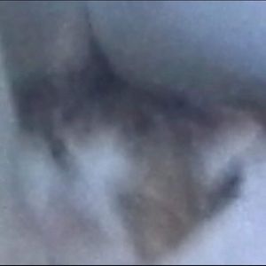 Meet your Posher, Elena